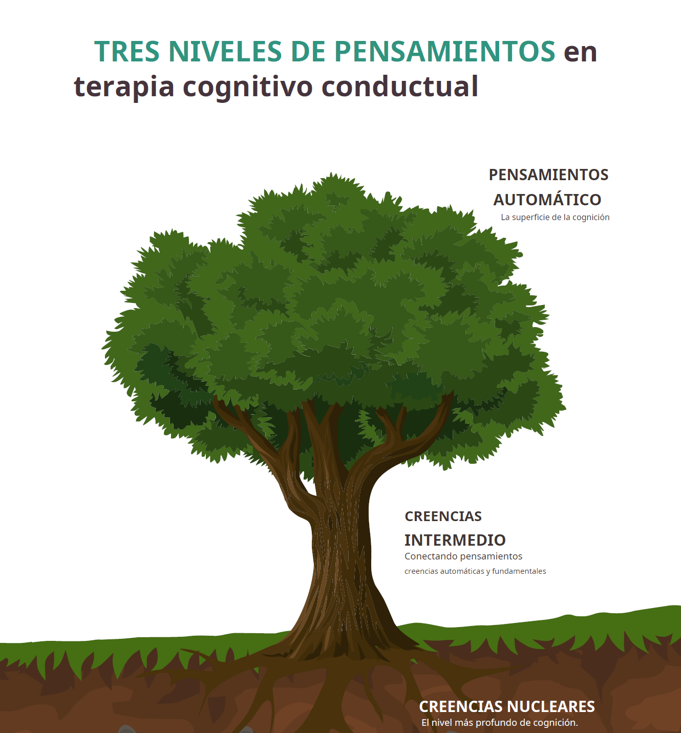 Ejemplo de herramienta personalizada
