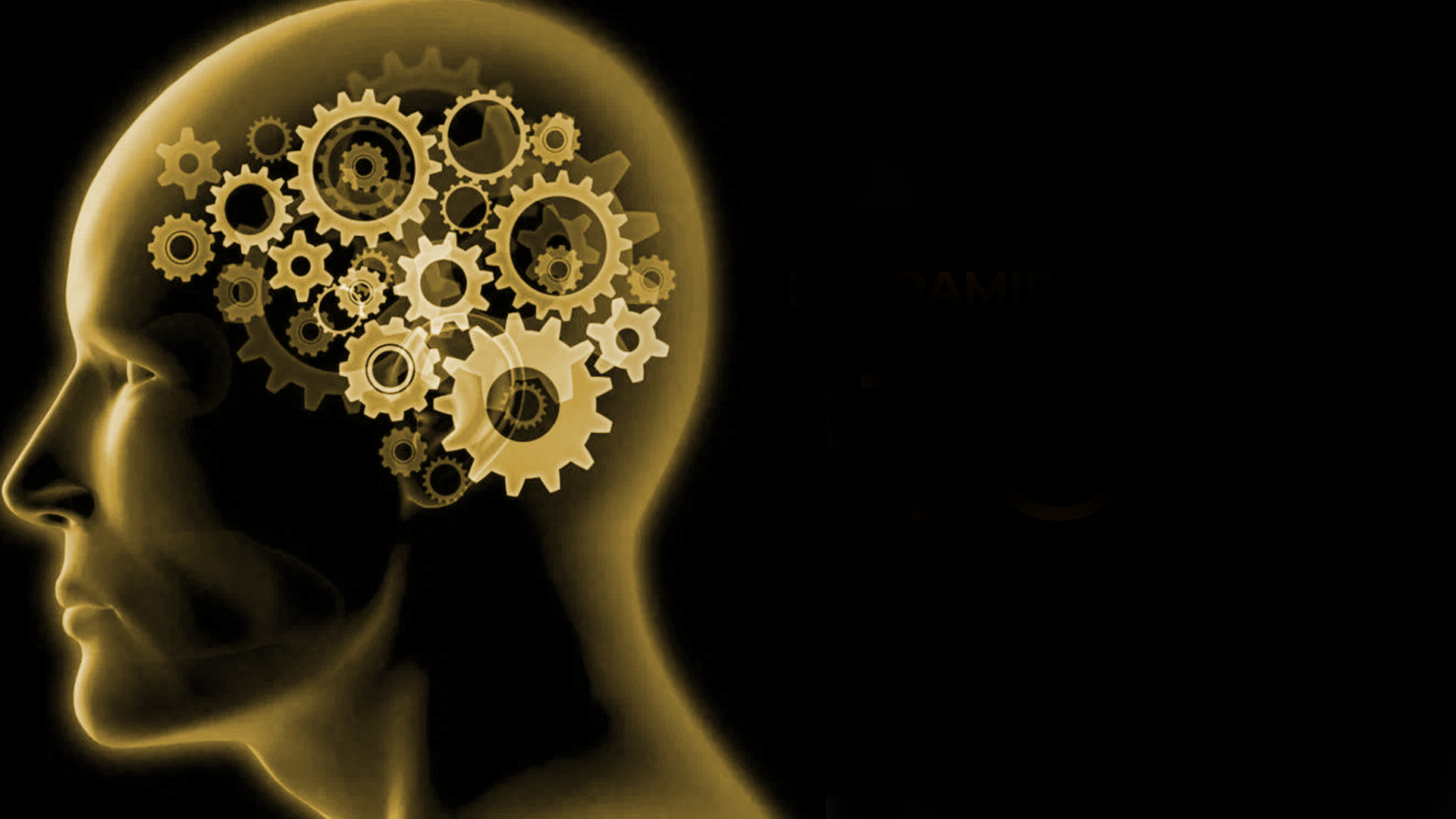 Comprehensive CBT tools